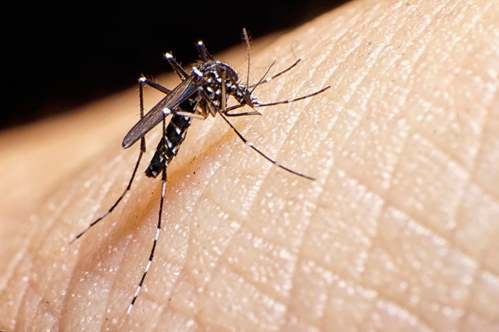 Casa del niño alerta aumento en casos de Dengue en Cartagena y municipios del norte de Bolívar.