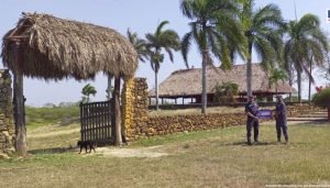 Bienes-de-la-banda-los-Costenos.