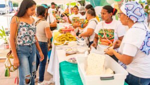 Mercado-campesino