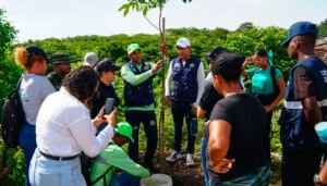 Reforestacion-Cerro-de-la-Popa.