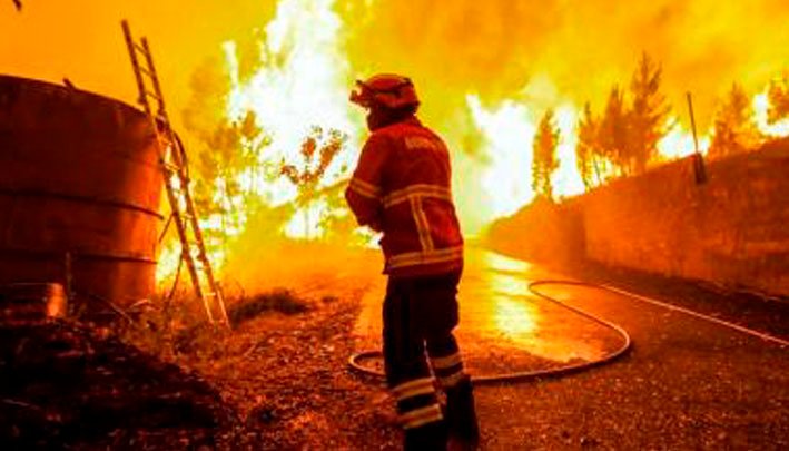 Países europeos sufren las altas temperaturas del verano.