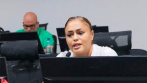 Movilidad, seguridad y temas ambientales marcaron la agenda del Concejo.