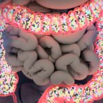 Microbiota-intestinal.
